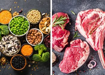 Plant Protein vs Animal Protein: An Expert Explains the Differences