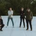 Wilco Selling Vintage Guitars, Soviet-Built Oddities, and Mystery Pedals on Reverb Wilco Selling Vintage Guitars, Soviet-Built Oddities, and Mystery Pedals on Reverb
