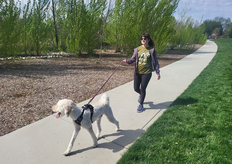 A CPT Answers “How Long Does It Take To Walk 10,000 Steps?”