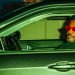 Elucid Announces Tour Dates, Shares New Song “The World Is Dog”: Listen Elucid Announces Tour Dates, Shares New Song “The World Is Dog”: Listen