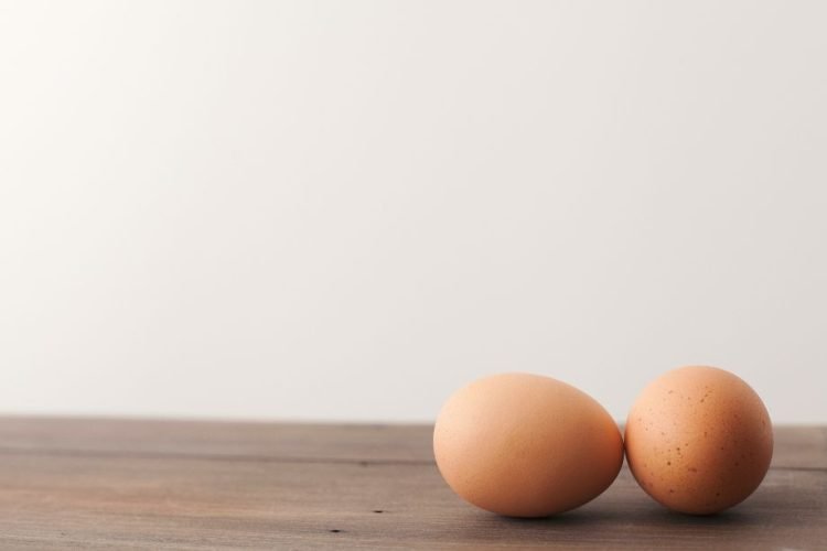 What You Need To Know About the Egg Diet What You Need To Know About the Egg Diet