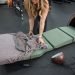 How Many Calories Do You Burn While Sleeping: Examining the Research How Many Calories Do You Burn While Sleeping: Examining the Research