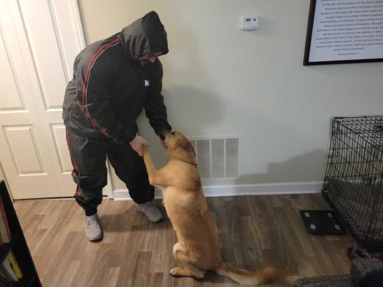 Best Sauna Suits, Tested By Fitness Experts (2024)