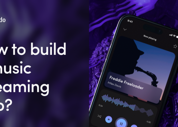 How to Build a Music Streaming App?