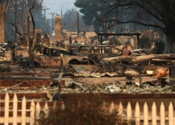 How to Help & Donate to Relief Organizations (List)