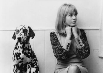 Tributes From Stones, Metallica & More