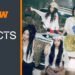 K-Pop in crisis? Around 93m albums were sold in South Korea in 2024 – 23m fewer than in 2023 K-Pop in crisis? Around 93m albums were sold in South Korea in 2024 – 23m fewer than in 2023