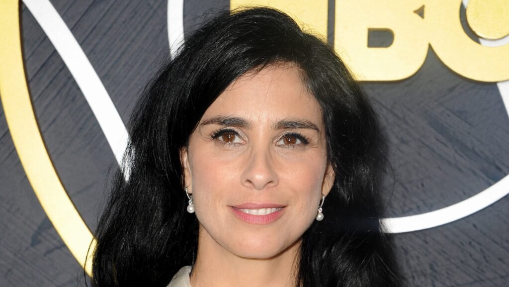 Sarah Silverman’s Meta copyright lawsuit advances as judge allows authors’ DMCA claims