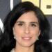 Sarah Silverman’s Meta copyright lawsuit advances as judge allows authors’ DMCA claims Sarah Silverman’s Meta copyright lawsuit advances as judge allows authors’ DMCA claims