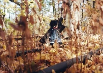 billy woods Gets More Layered with His Rhymesayers Debut “Golliwog” (Album Review)