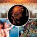 The Best Album by 15 Legendary Thrash Metal Bands The Best Album by 15 Legendary Thrash Metal Bands