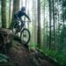 Best Mountain Bikes, Tested and Researched by Actual Riders (2025) Best Mountain Bikes, Tested and Researched by Actual Riders (2025)