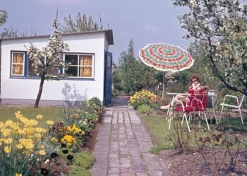 Photos That Take You Back to Summers in Your Grandparents’ Yard