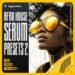 Singomakers releases Afro House Serum Presets 2 sound pack Singomakers releases Afro House Serum Presets 2 sound pack