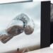 Bryan Adams Announces New 'Roll With the Punches' Album Bryan Adams Announces New ‘Roll With the Punches’ Album