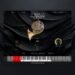 Acousticsamples releases VBrass French Horns for UVI Workstation Acousticsamples releases VBrass French Horns for UVI Workstation