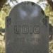 Will Udio Still Exist In 2026?