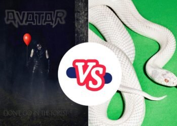 Better 2025 Album – ‘Don’t Go in the Forest’ vs. ‘private music’