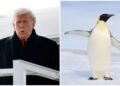 Trump White House Clowned For Not Knowing There Are No Penguins In Greenland Trump White House Clowned For Not Knowing There Are No Penguins In Greenland