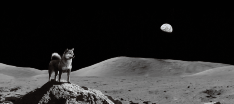 Cypto Sell Off, The Dogecoin Super Bowl Experiment By Hip Hop Heads That Proved Bitcoin Is No Different