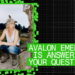Reader Q&A with Avalon Emerson