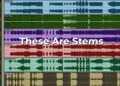 The Difference Between Stems And Tracks