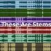 The Difference Between Stems And Tracks