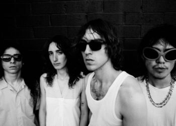 Geese Sign With Weekday Management