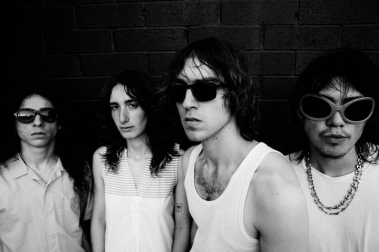 Geese Sign With Weekday Management