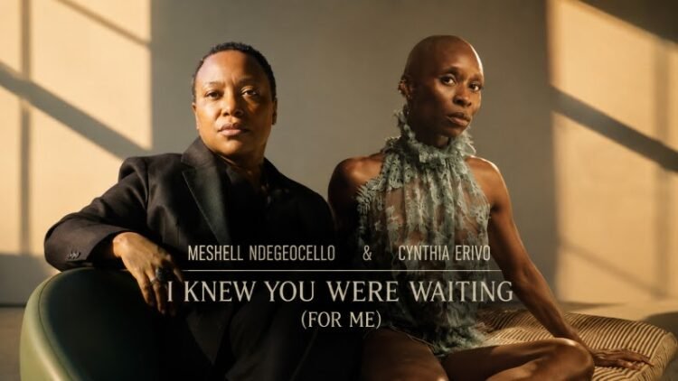 SOUND FIST: MESHELL NDEGEOCELLO & CYNTHIA ERIVO