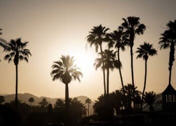 Apple Music is livestreaming the upcoming Head Trip festival, with sets from Calvin Harris, Skrillex, Swedish House Mafia and more Apple Music is livestreaming the upcoming Head Trip festival, with sets from Calvin Harris, Skrillex, Swedish House Mafia and more