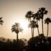 Apple Music is livestreaming the upcoming Head Trip festival, with sets from Calvin Harris, Skrillex, Swedish House Mafia and more